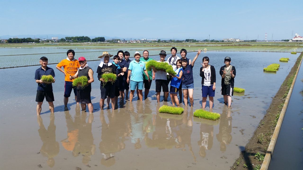 田植え2016