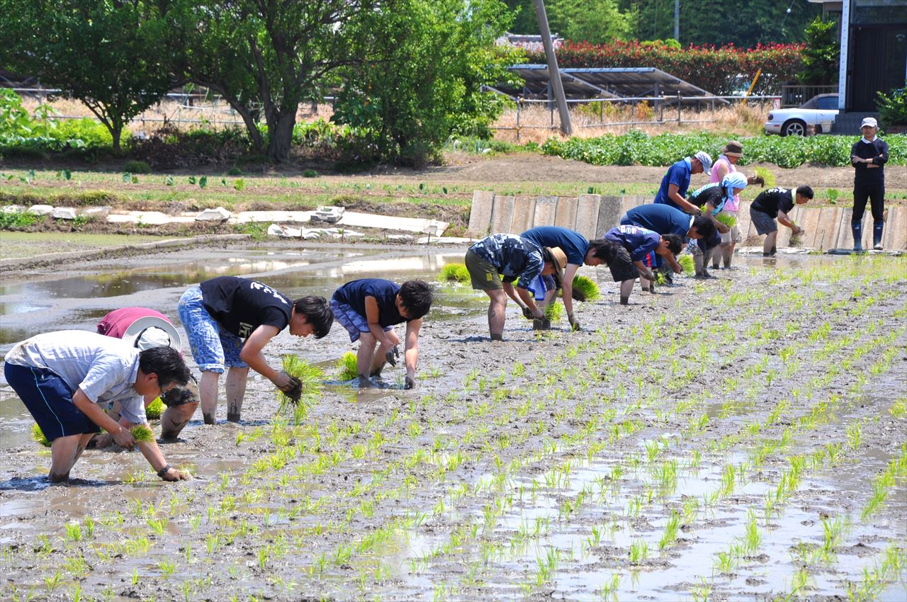 5th_taue_dennoh (11)