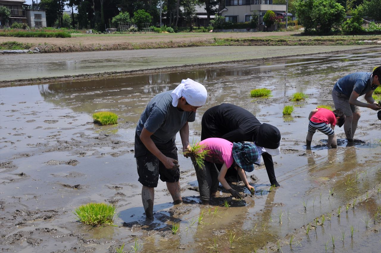 5th_taue_dennoh (26)