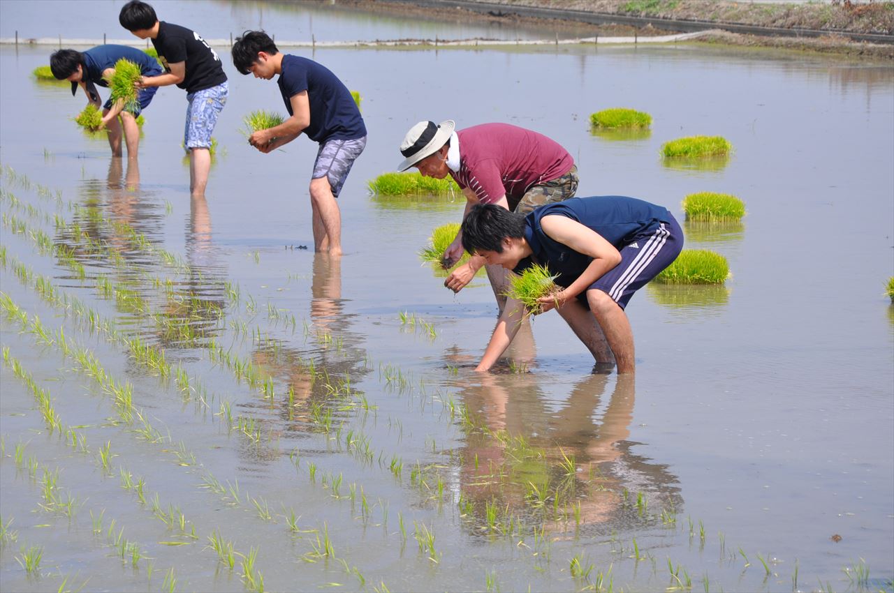 5th_taue_dennoh (4)