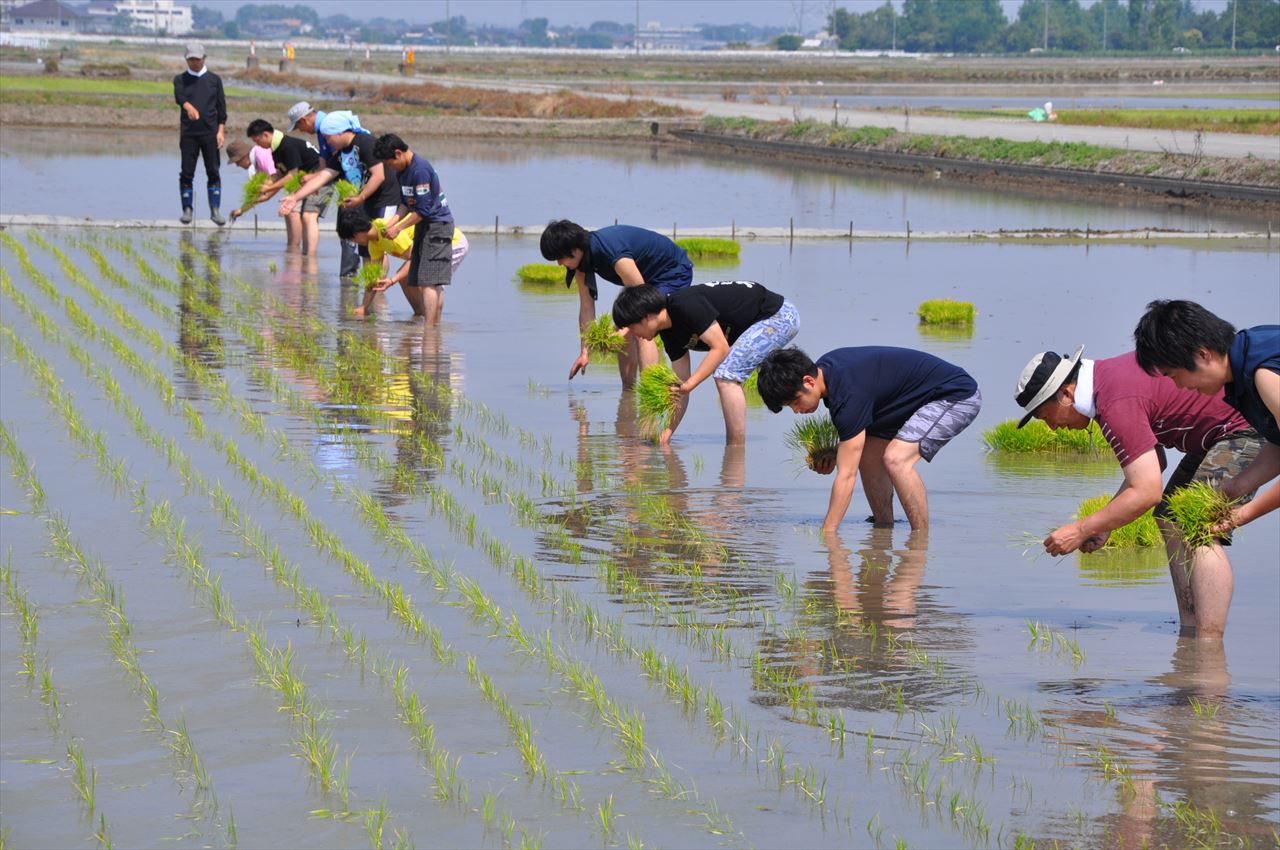 5th_taue_dennoh (5)