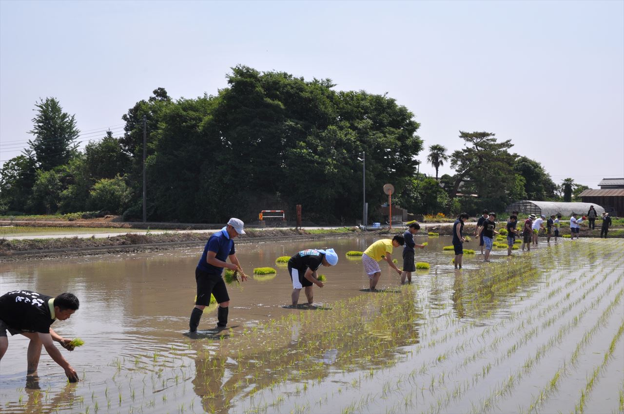 5th_taue_dennoh (7)